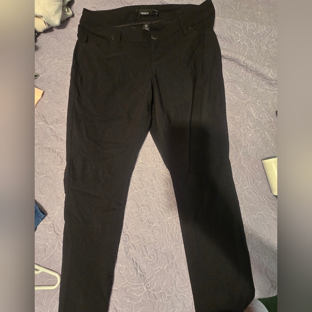 Torrid Lot - Picture 8 of 13